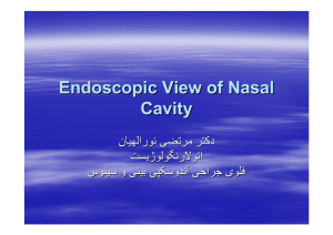 Endoscopic View of Nasal Cavity
