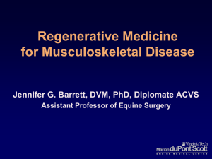 Regenerative Medicine for Musculoskeletal Disease