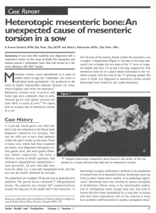 Heterotopic mesenteric bone: An unexpected cause of mesenteric