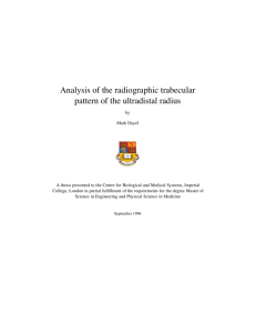 Analysis of the radiographic trabecular pattern of the