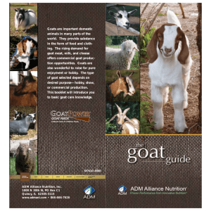 Goats are important domestic animals in many parts of the world