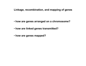 Linkage, recombination, and mapping of genes • how are genes