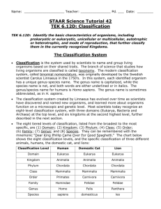 STAAR Science Tutorial 42 TEK 6.12D: Classification