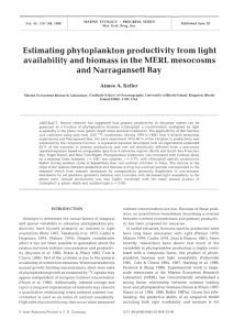Estimating phytoplankton productivity from light