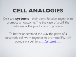 Presentation - Cell analogies