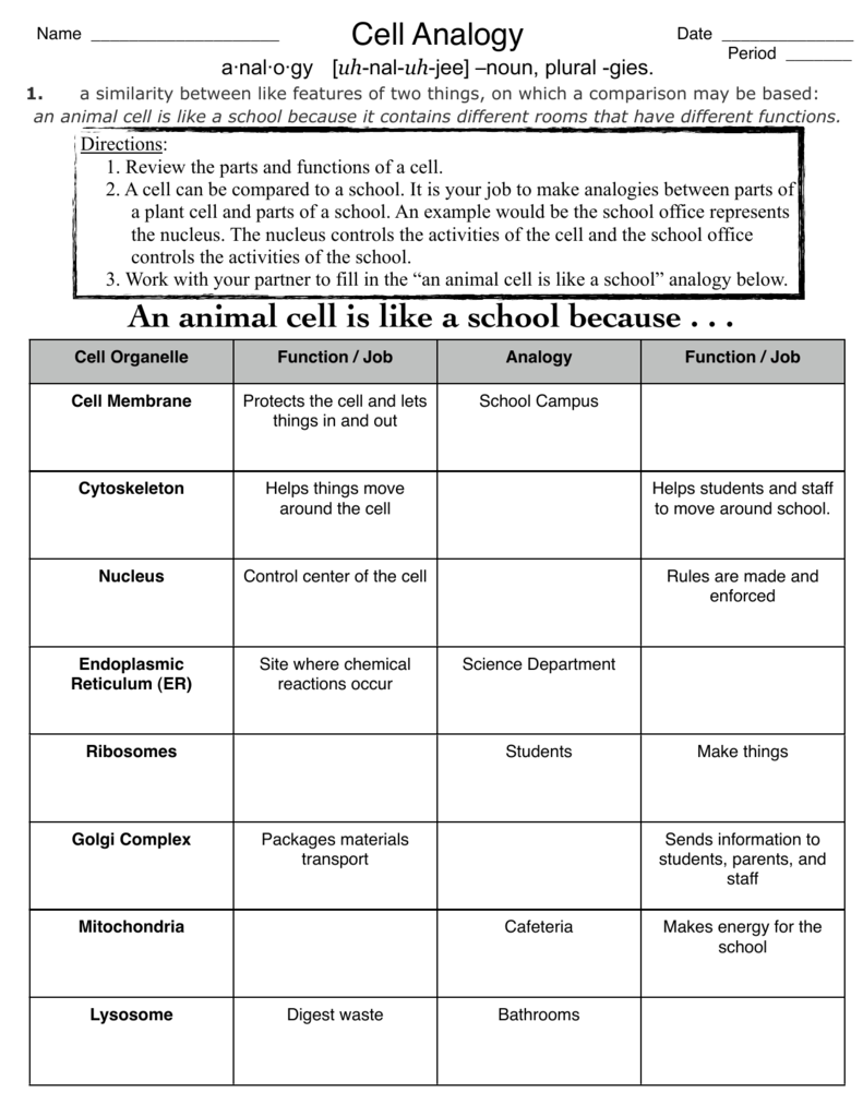 Cell Analogy