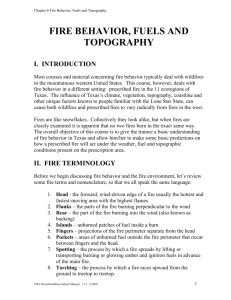 fire behavior, fuels and topography