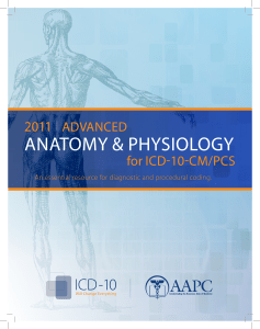 AnAtomy & Physiology