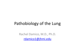 Pathobiology of the Lung