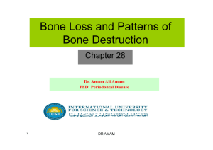 Bone Loss and Patterns of Bone Destruction