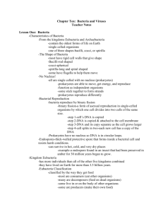 Chapter Ten: Bacteria and Viruses Teacher Notes Lesson One