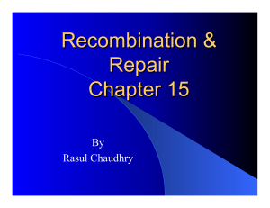Recombination & Repair Chapter 15