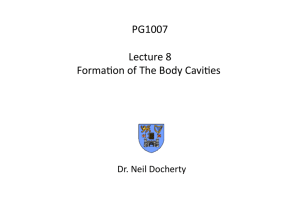 PG1007 Lecture 9 Formation of The Body Cavities