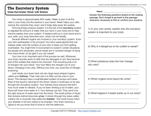 Cross-Curricular Reading Comprehension Worksheets: E