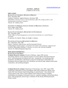 CURRICULUM VITAE - Kansas State University