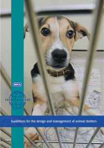 2. Guidelines for the design and management of animal shelters