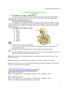 Respiratory System Notes Sheet