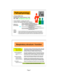 Respiratory pathology, alterations of S/F in the respiratory system