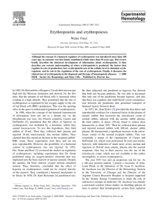 Erythropoietin and erythropoiesis