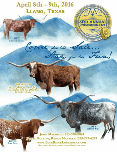 2016 Blue Ridge Ranch Sale Catalog