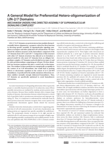 A General Model for Preferential Hetero-oligomerization of LIN