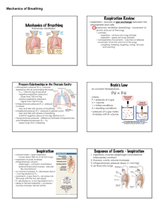 Mechanics of Breathing Respiration Review Boyle's Law Inspiration