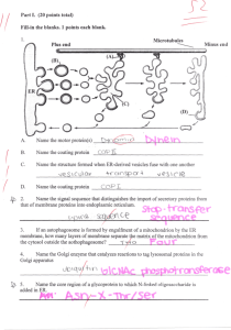 Cell Biology Exam 2