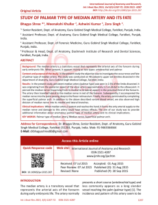 study of palmar type of median artery and its fate