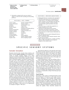 SPECIFIC SENSORY SYSTEMS Somatic Sensation