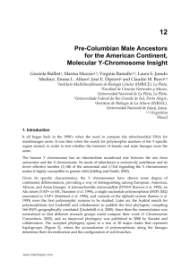 Pre-Columbian Male Ancestors for the American Continent