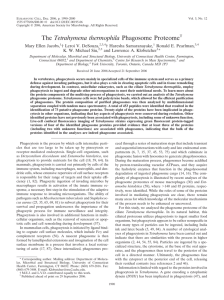 The Tetrahymena thermophila Phagosome Proteome