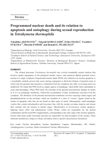 Programmed nuclear death and its relation to apoptosis and