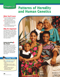 Chapter 12: Patterns of Heredity and Human Genetics