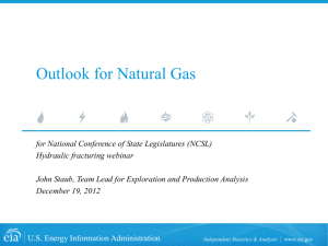 Annual Energy Outlook 2013 Early Release Reference Case