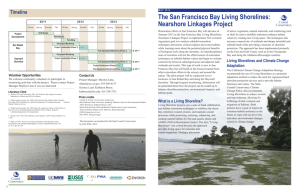 The San Francisco Bay Living Shorelines: Nearshore Linkages Project