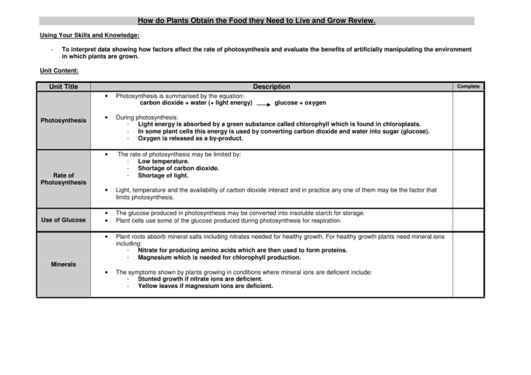 How Do Plants Obtain The Food They Need To Live And Grow Review 