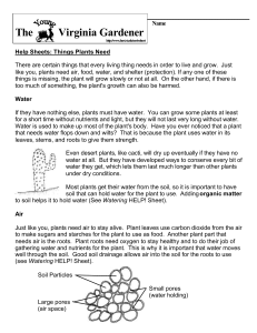 Things Plants Need - Department of Horticulture