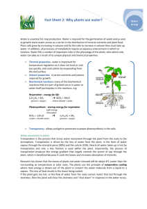 Fact Sheet 2: Why plants use water?