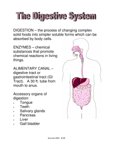 DIGESTION – the process of changing complex solid foods into