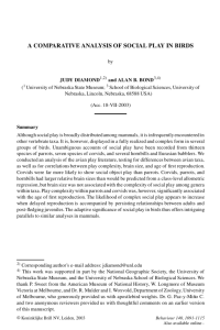 a comparative analysis of social play in birds