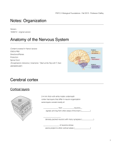 Notes: Organization