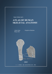 atlas of human skeletal anatomy