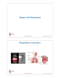 Gases and Respiration Respiration Overview I