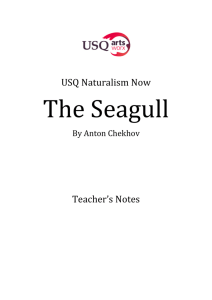 The Seagull teachers' notes