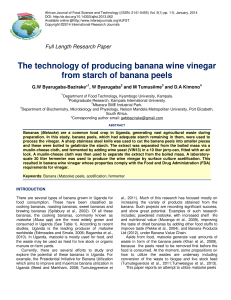 The technology of producing banana wine vinegar from starch of