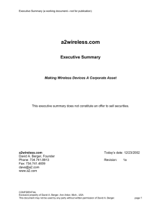 Wireless Marketing Executive Summary