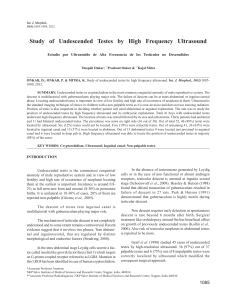 Study of Undescended Testes by High Frequency Ultrasound