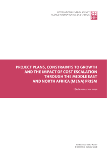 Project Plans, Contraints to Growth and the Impact of Cost