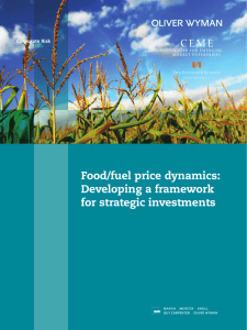 Food/fuel price dynamics: Developing a framework