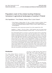Population crash of the ortolan bunting Emberiza hortulana in